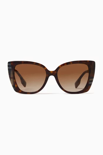 Cat-eye Sunglasses in Acetate