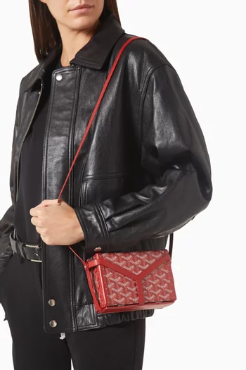 2019 Minaudière Trunk Shoulder Bag in Coated-canvas