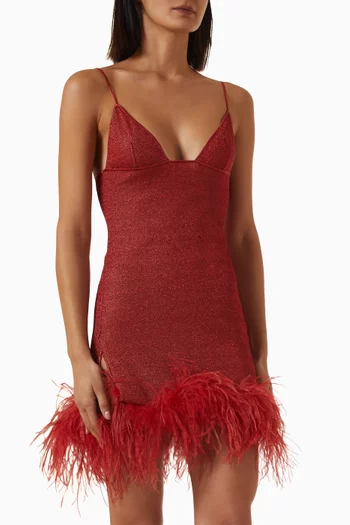 Lumière Plumage Mini Dress
