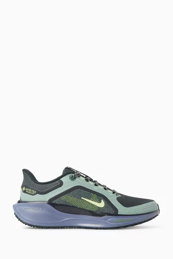Air Zoom Pegasus 41 GORE-TEX Sneakers