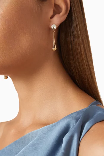 Crystal Oval Drop Earrings