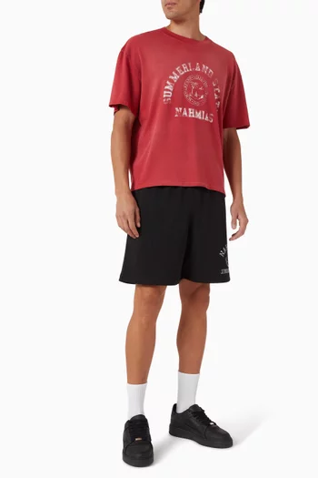 Summerland State Boxy T-shirt in Cotton