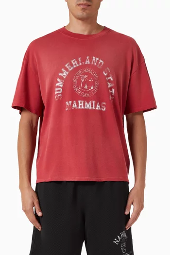 Summerland State Boxy T-shirt in Cotton