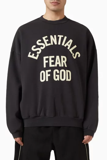 Campus 90s Crewneck Sweatshirt in Fleece