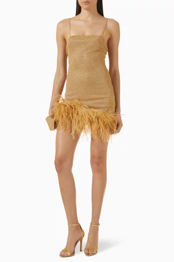Lumière Plumage Mini Dress