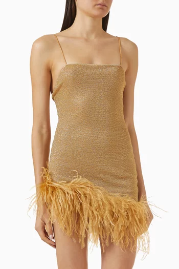 Lumière Plumage Mini Dress