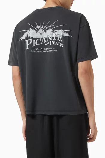 Peaks Patch T-shirt in Cotton