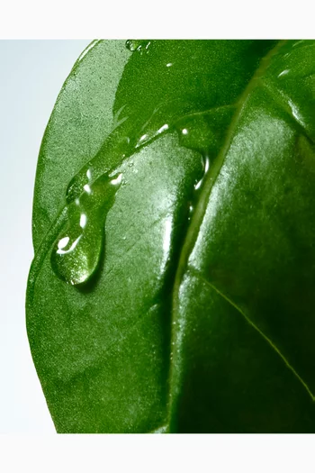 Basil & Hinoki Hand Cream, 40ml