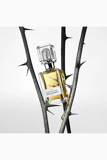 Scentsorium Collection Delight in Despair Parfum, 75ml
