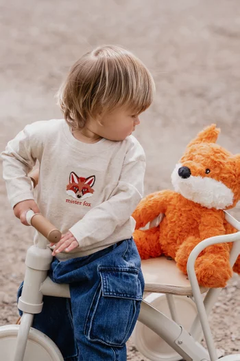 Junior Boy Mr Fox T-shirt in Cotton