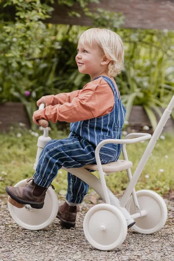 Baby Boy Wild Side Strip Overalls in Denim