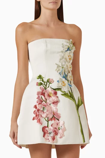 Roselle Embroidered Bustier Dress