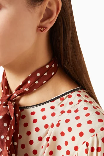 Enamelled Earrings in Metal