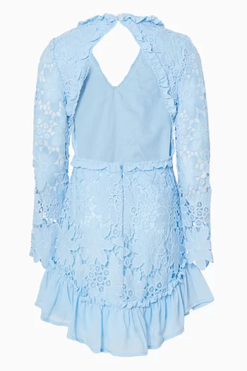 Sabina Embroidered Mini Dress in Lace