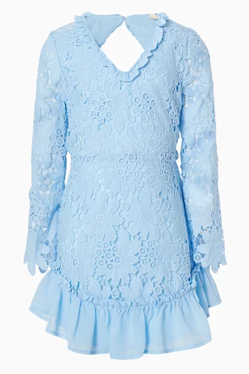 Sabina Embroidered Mini Dress in Lace