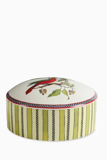 Jungle Parrot Trinket Box in Porcelain, 13 x 6.5cm