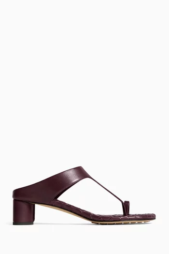Liva 40 Thong Sandals in Leather