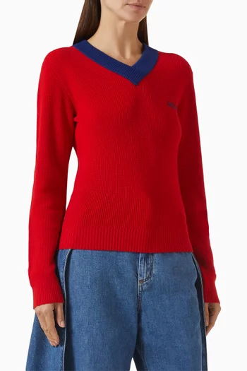 Anagram V-neck Sweater