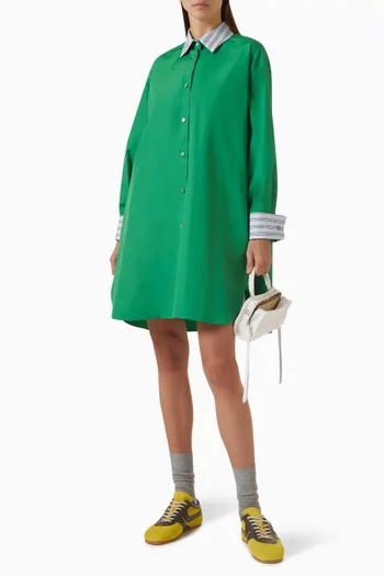 Stripe-collar Shirt Dress