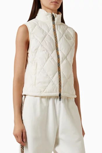 Packable Quilted Cheswick Gilet in Nylon