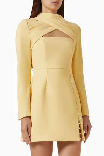 Fiona Mini Dress