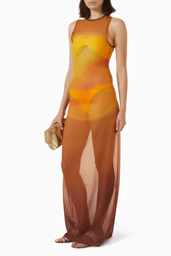 Bianca Sheer Dress