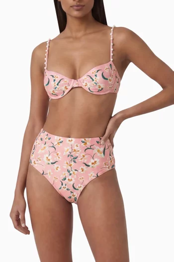 Magenta Promesa Bikini Briefs