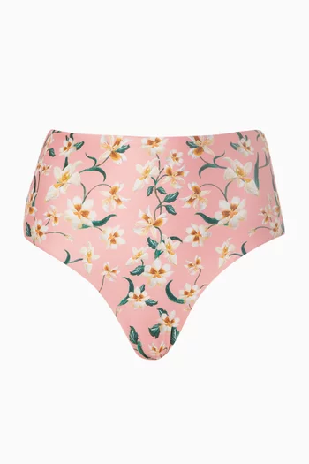 Magenta Promesa Bikini Briefs