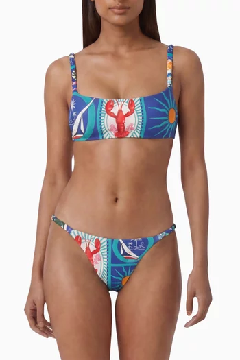 Minta Bikini Briefs