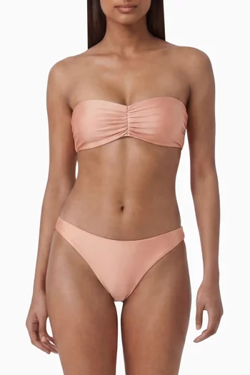 Most Wanted Bikini Briefs