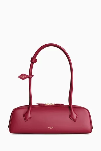 Medium Le Teckel Shoulder Bag in Calfskin