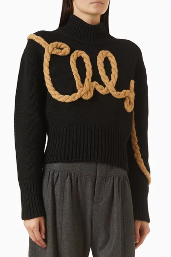 Braided Logo Sweater