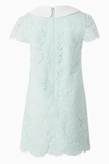 Collared Dress in Lace