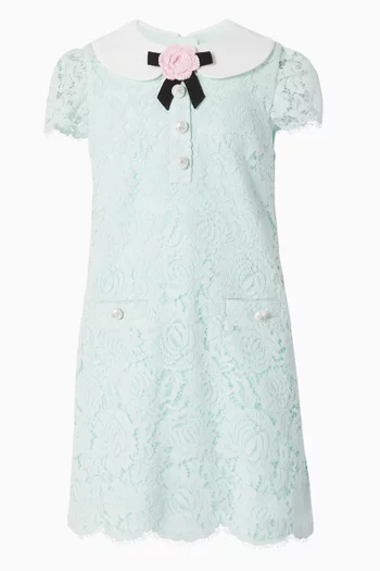 Collared Dress in Lace