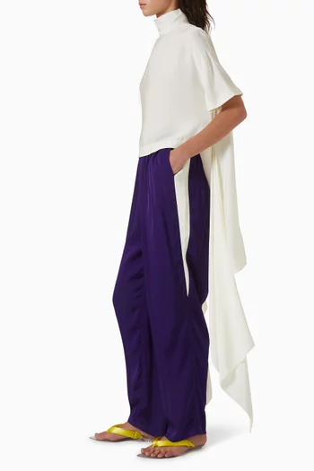 Asymmetric Top in Cady