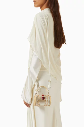 Petit Alix 'All Yours Bag' in Acrylic