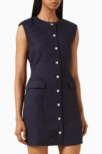 Ramila Mini Dress in Tweed