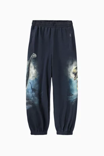 Aimon Dinosaur Print Sweatpants in Organic Cotton