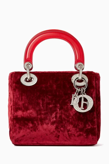 2000s Mini Lady Dior Bag in Velvet & Acrylic