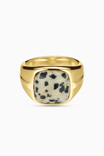 The Palma Signet Ring in 14kt Gold-plated Brass