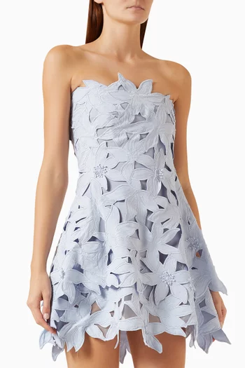 Miri Embroidered Bustier Mini Dress