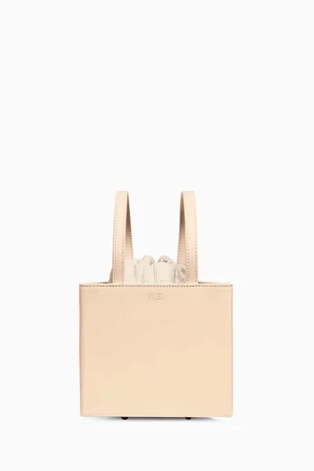 Medium Triangle Bucket Bag in Leather