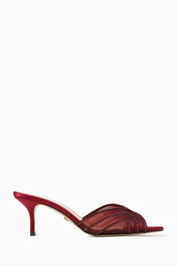 Rainbow 65 Mules in Mesh
