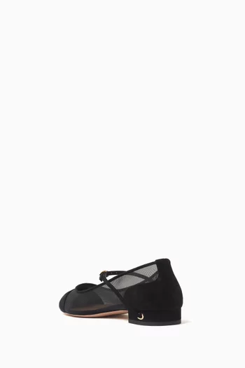 Paolo 20 Ballet Flats in Suede & Mesh
