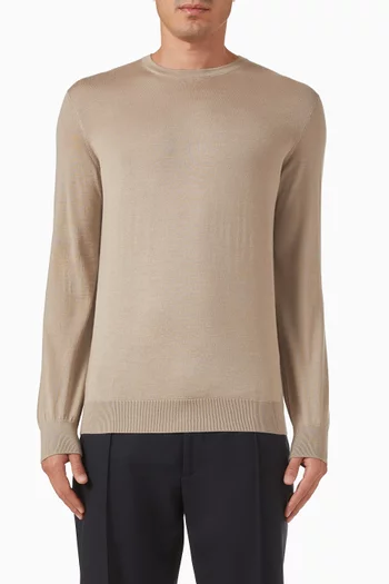 Cashseta Crewneck Sweater in Knit