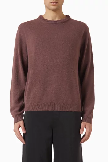 Crewneck Sweater in Alpaca Wool Blend