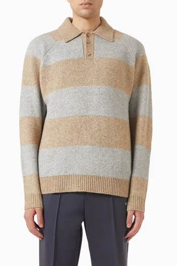 Striped Melange Polo Sweater in Knit