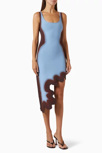 Aster Reversible Wavy Dress