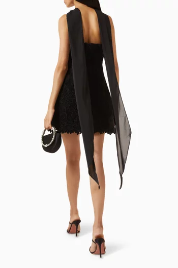 Paloma Lace Corset Dress in Velvet Guipure