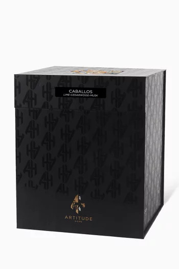 شمعة معطرة كابايوس، 24 سم